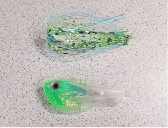 Musselhead Dutchie's