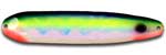 Warrior XL Blue Fin Tuna