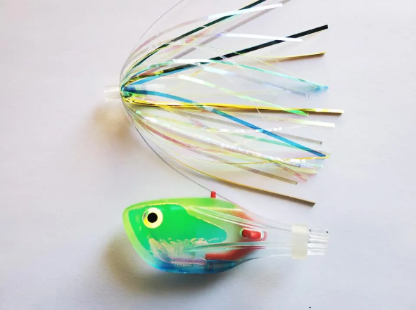 Musselhead Blue Dolphin