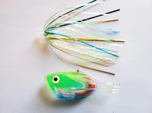 Musselhead Blue Dolphin