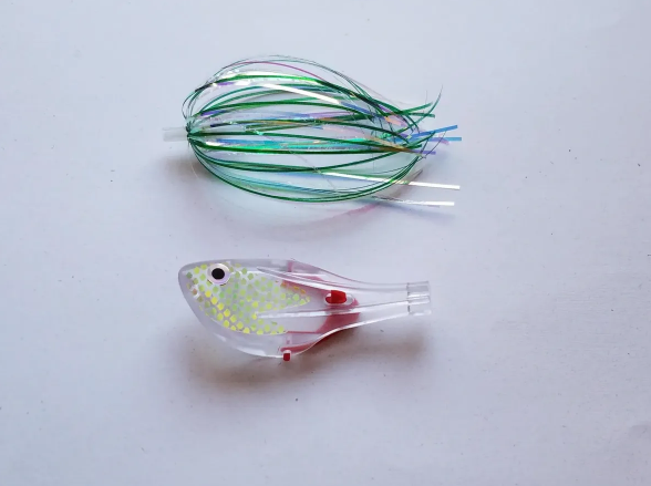 Musselhead Emerald Shiner